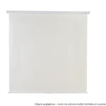 Ekran projekcyjny Avtek Wall Standard 175
