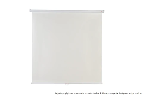 Ekran projekcyjny Avtek Wall Standard 175