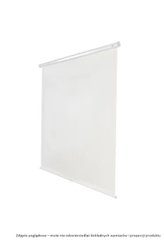 Ekran projekcyjny Avtek Wall Standard 175